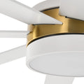 Dextrus 60 in Modern LED Outdoor/Indoor Ceiling Fan with Remote Control